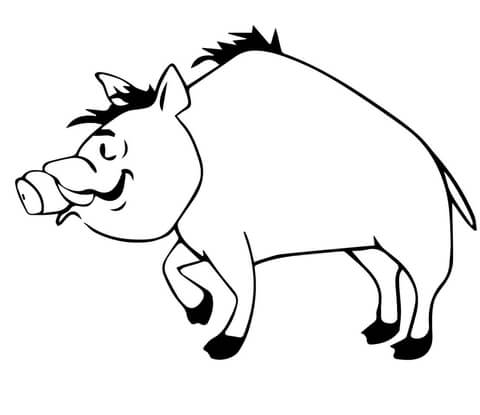 Wild Hog Coloring Page